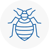 Bed Bug Extermination In Yate